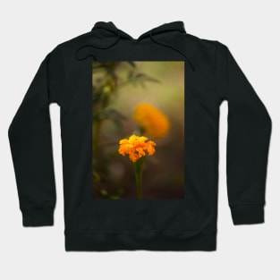 Marigold VI Hoodie